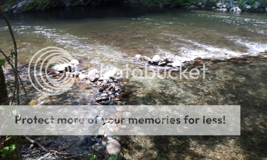 2012-05-25135404.jpg