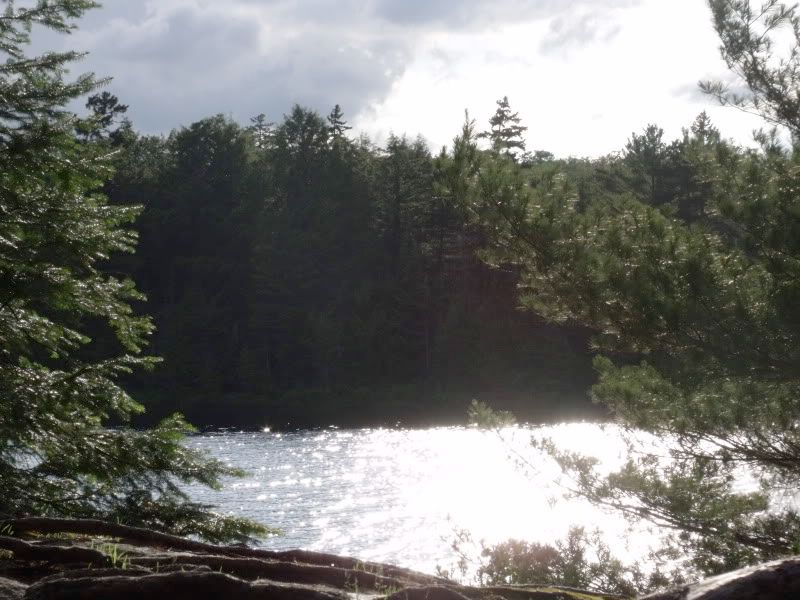 DSCF3074.jpg