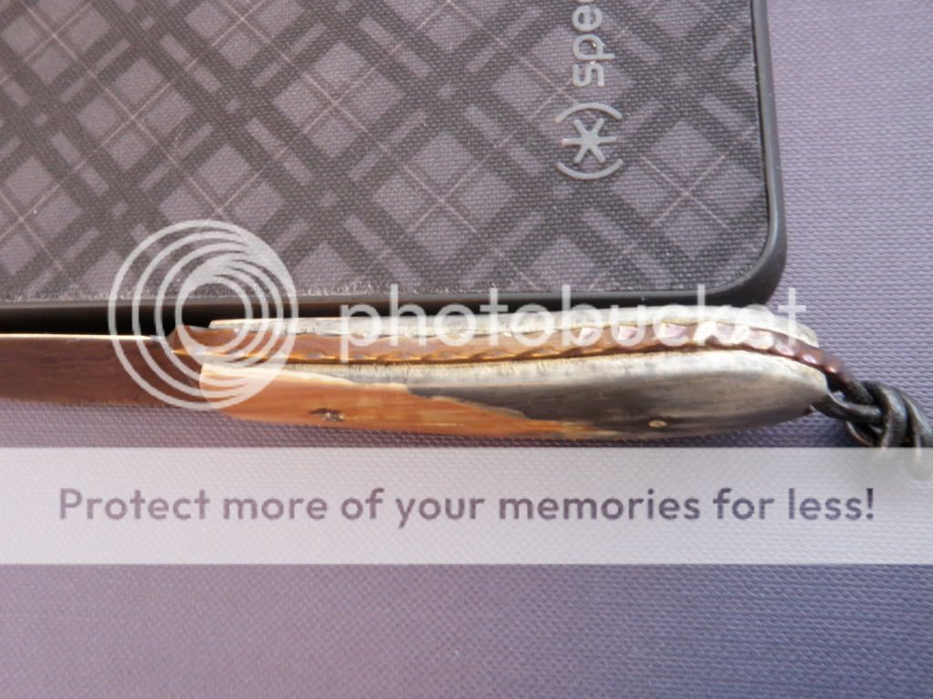 PC260234.jpg