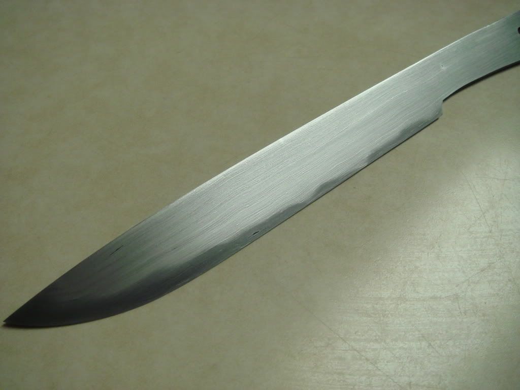 DSC02446.jpg