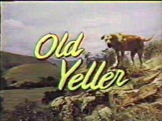 yeller1.JPG