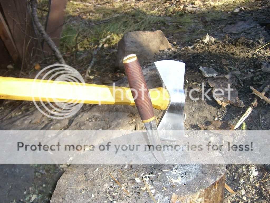 CIMG3208.jpg