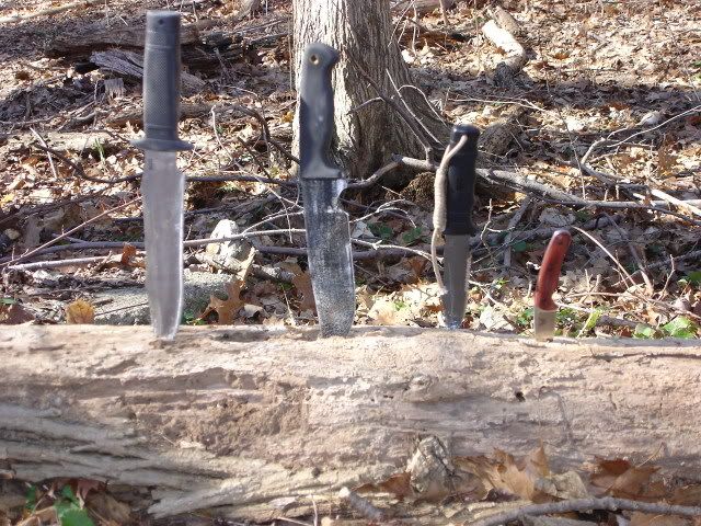 Picture3112.jpg