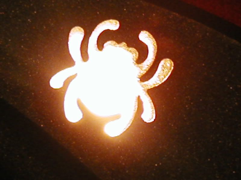 P1020145.jpg