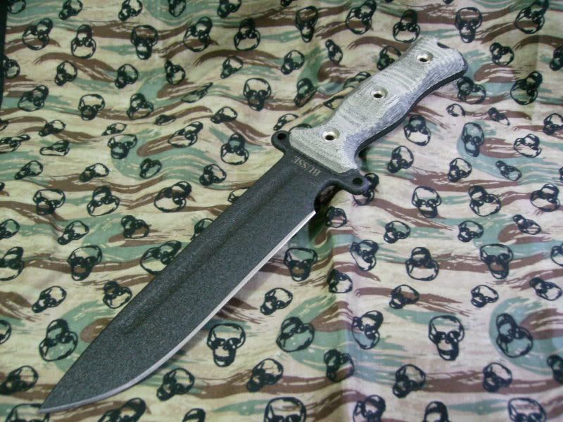 SANY0031.jpg
