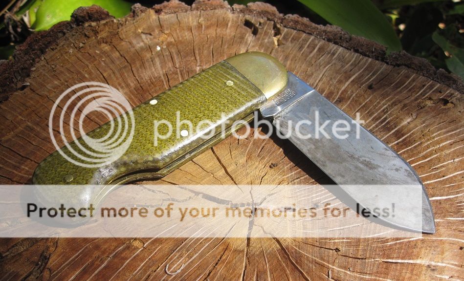 IMG_2544_zps5c9aa977.jpg~original