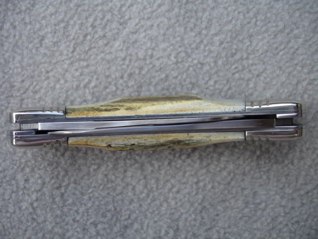DSC01330.jpg