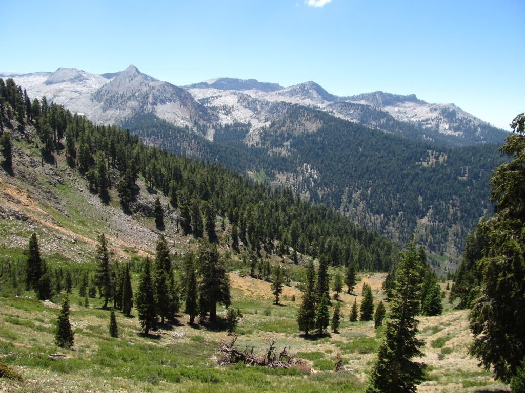IMG_1890.jpg