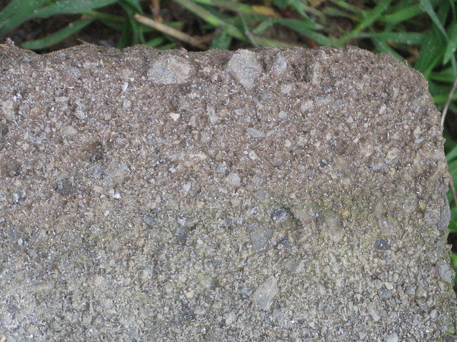 5616585771_56521efa50_z.jpg