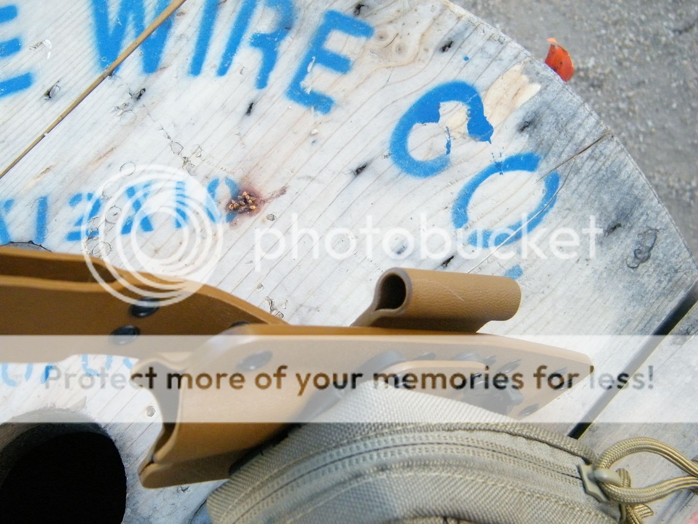 DSCF8358.jpg