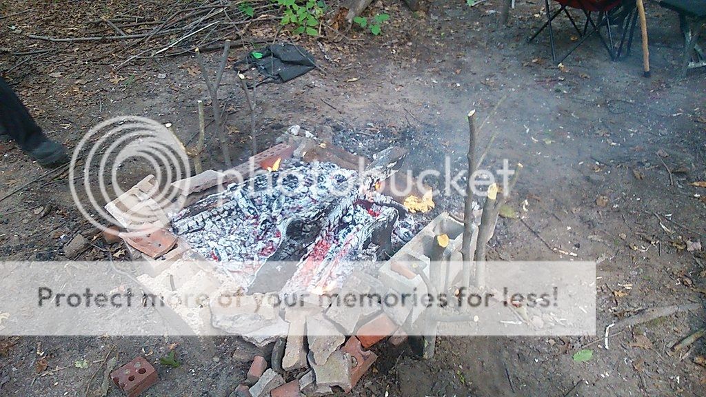 Steak%202_zpspovws0uk.jpg