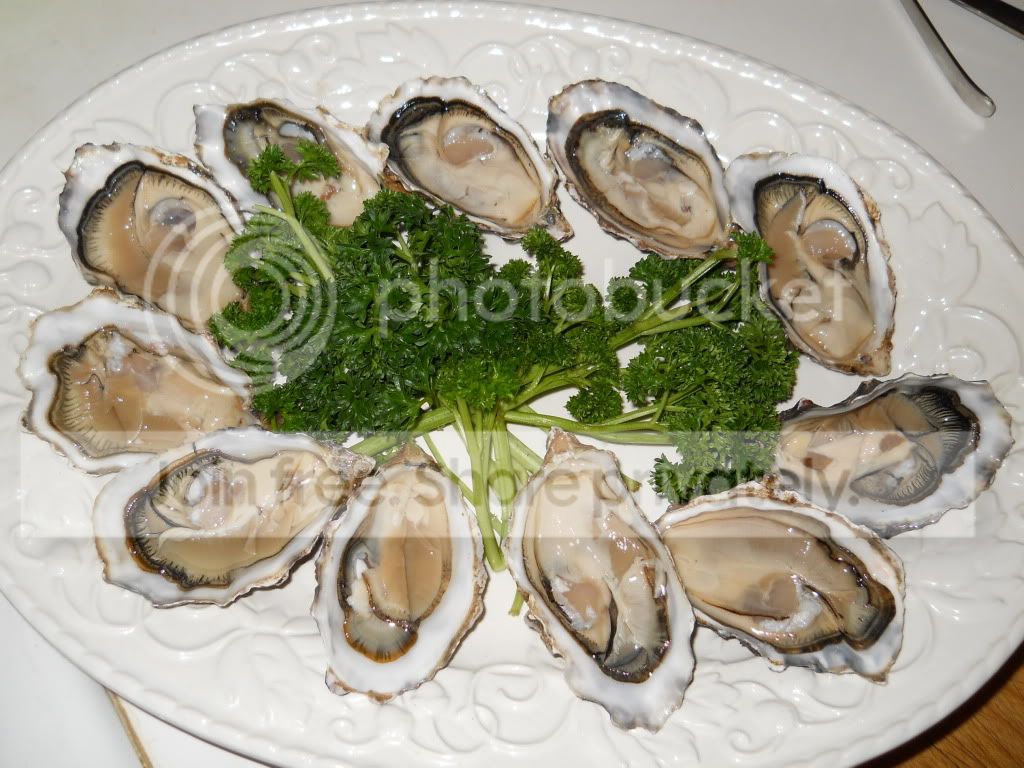 2011HogIslandOysters.jpg