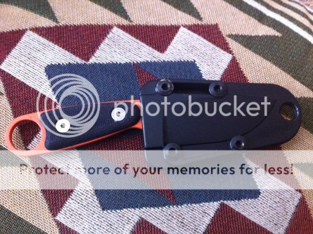 photo3-11.jpg