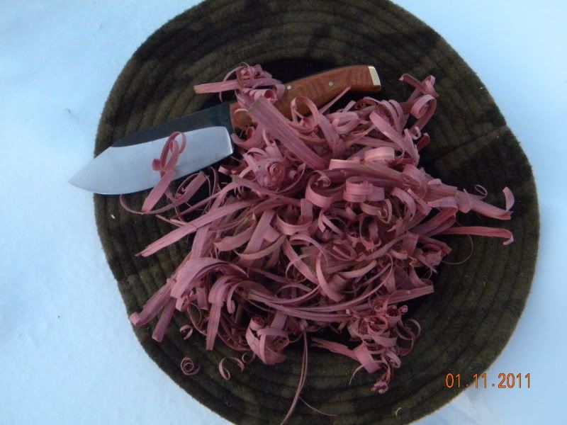 DSCN3298.jpg