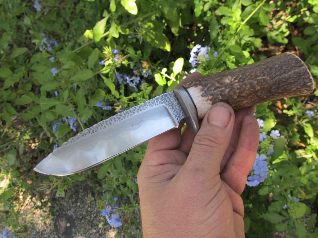 RedStagHunter027.jpg