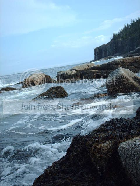 Acadiaottercliffpool.jpg