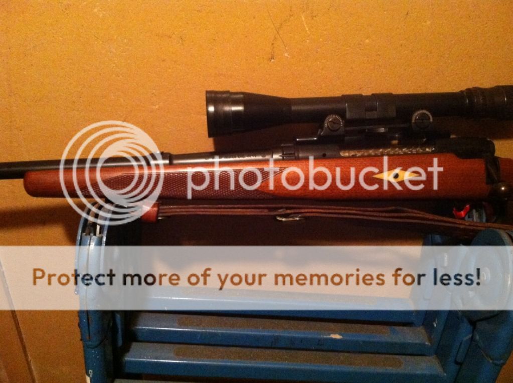 image-5.jpg