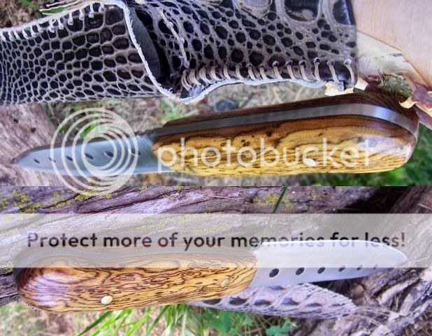 100_5167b.jpg