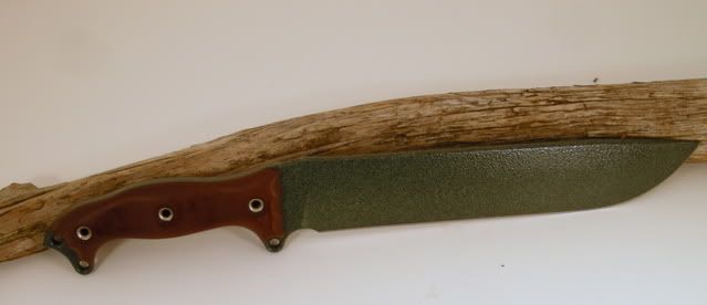 DSCN6540.jpg