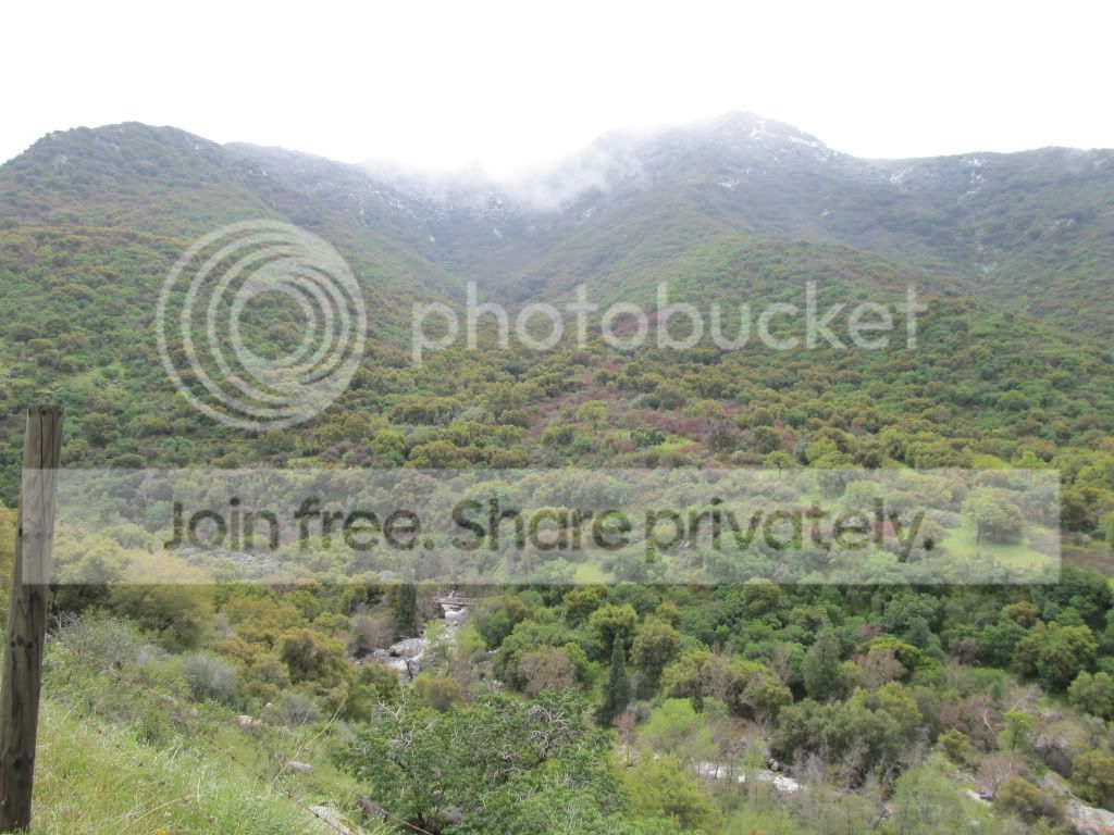 IMG_1256.jpg