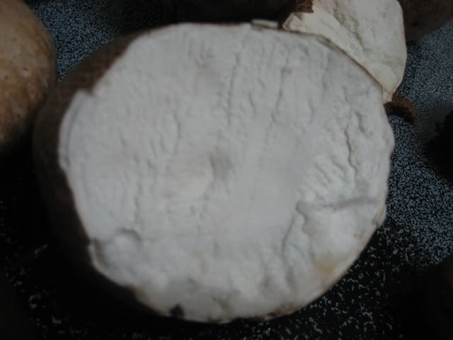Puffballs3web.jpg