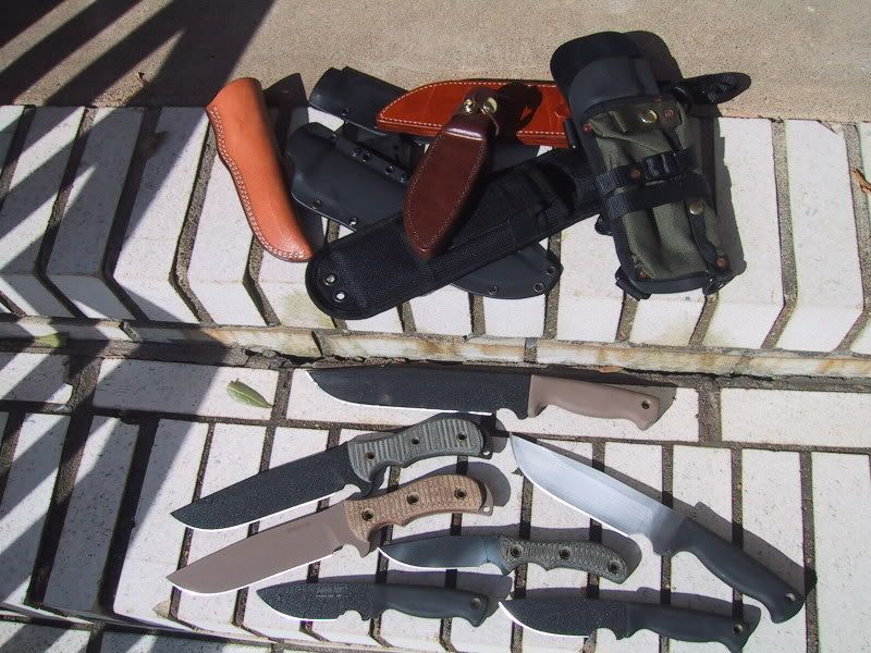 ratsheaths009.jpg
