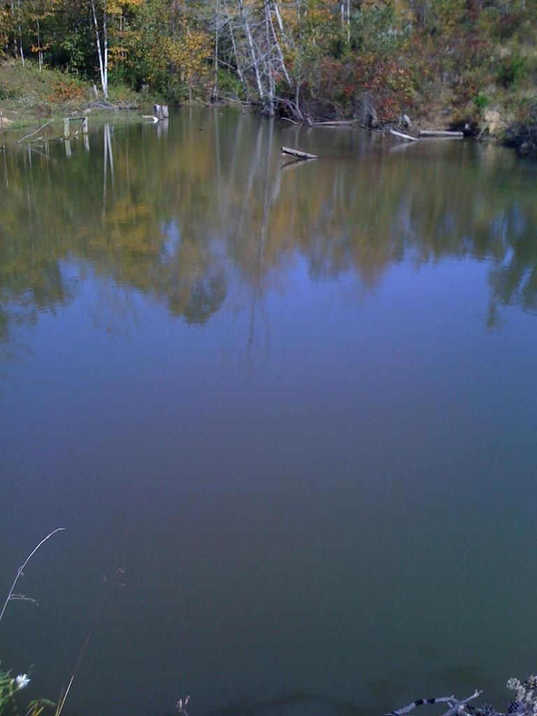 010-5.jpg