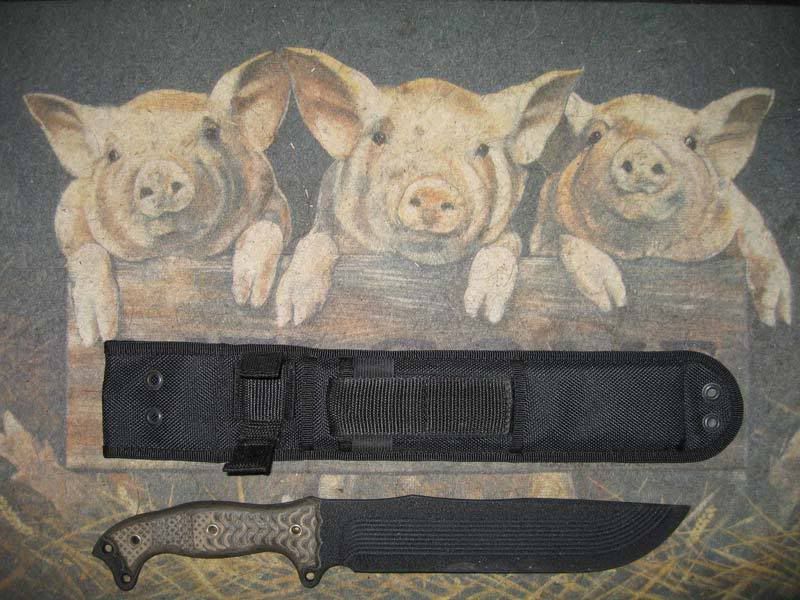 FBM_DF_sheath_2.jpg