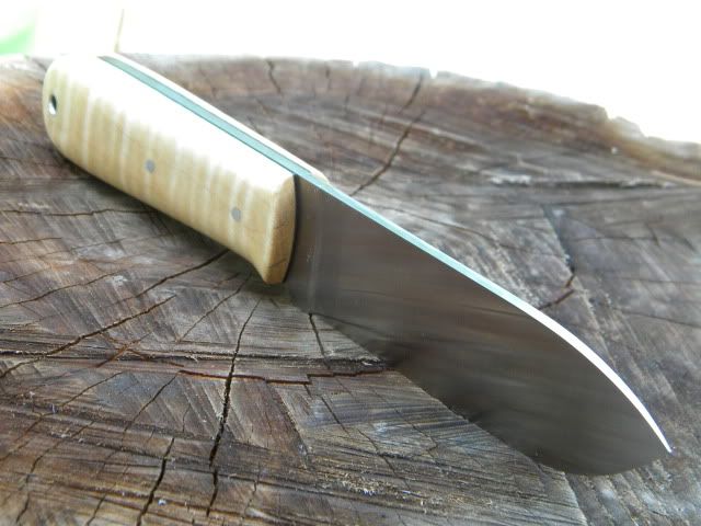 DSCN1277.jpg
