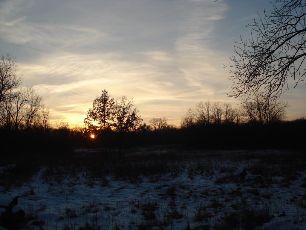 DSC04062.jpg