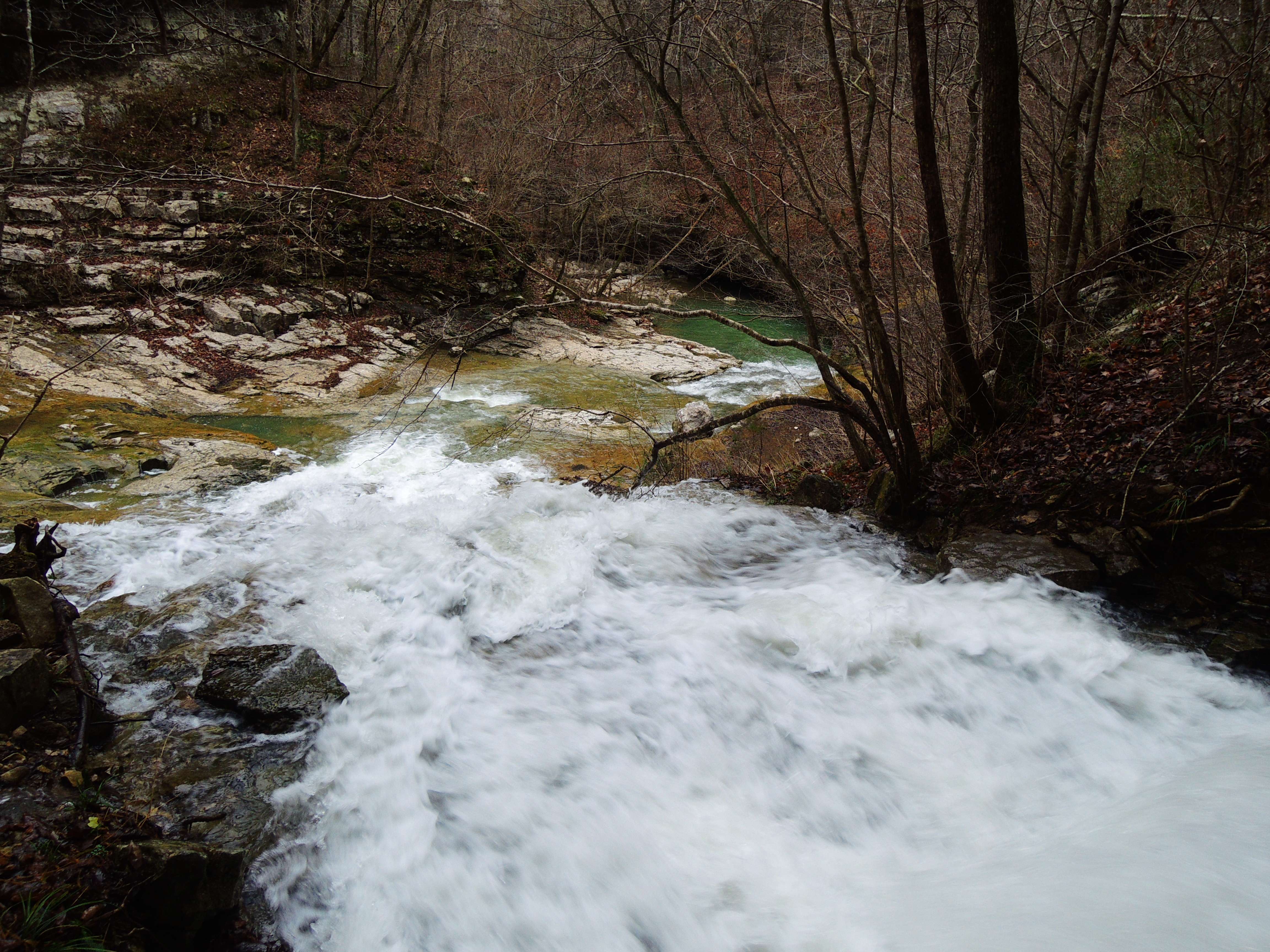 dscn5579j.jpg