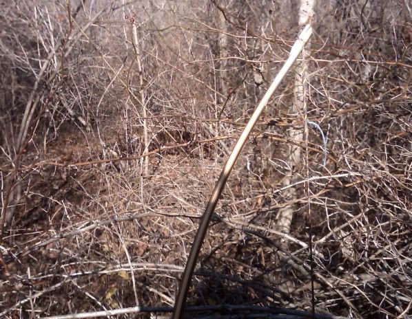 20101126_ac_08.jpg