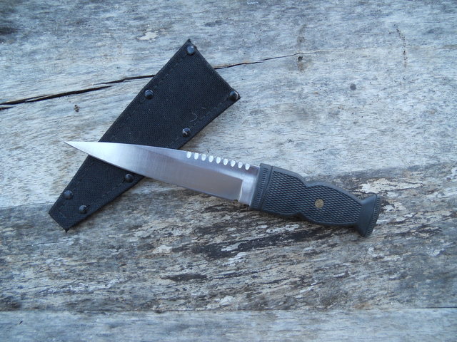 braveh10.jpg