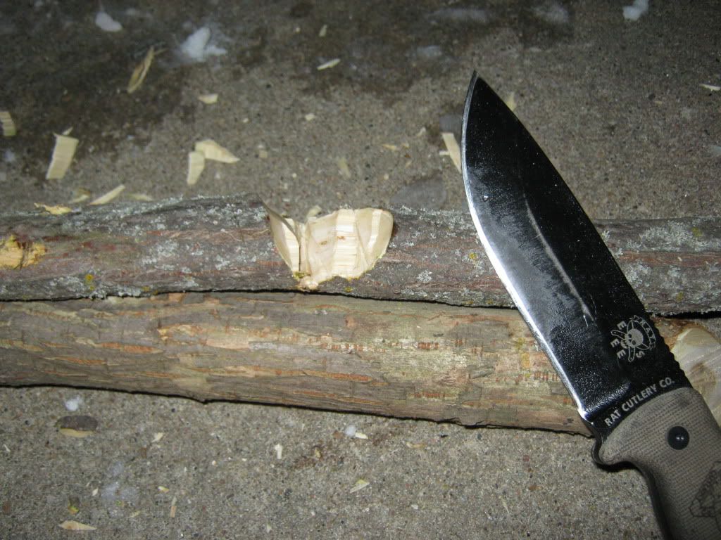 jan2320011005.jpg