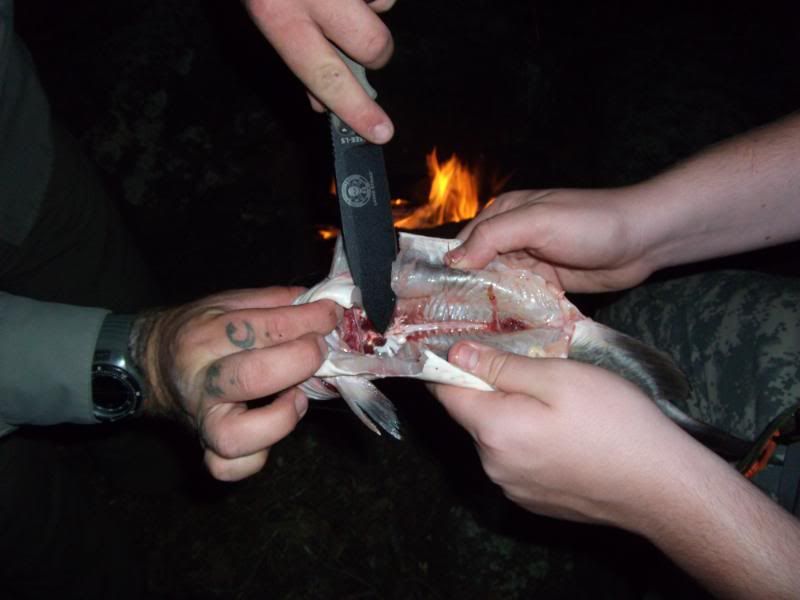 DSCF5068.jpg
