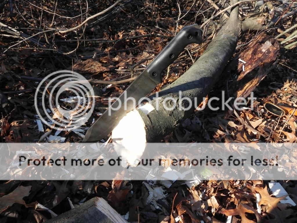 DSCN2613_zpscdd64f5e.jpg