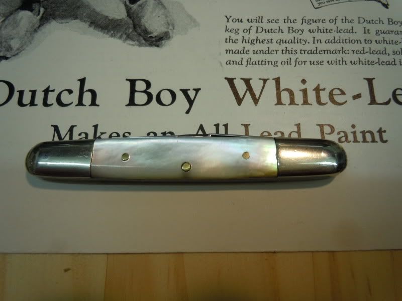 DSCN0517.jpg