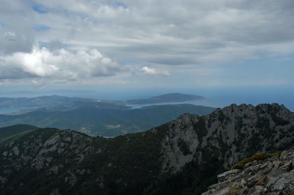 topview.jpg