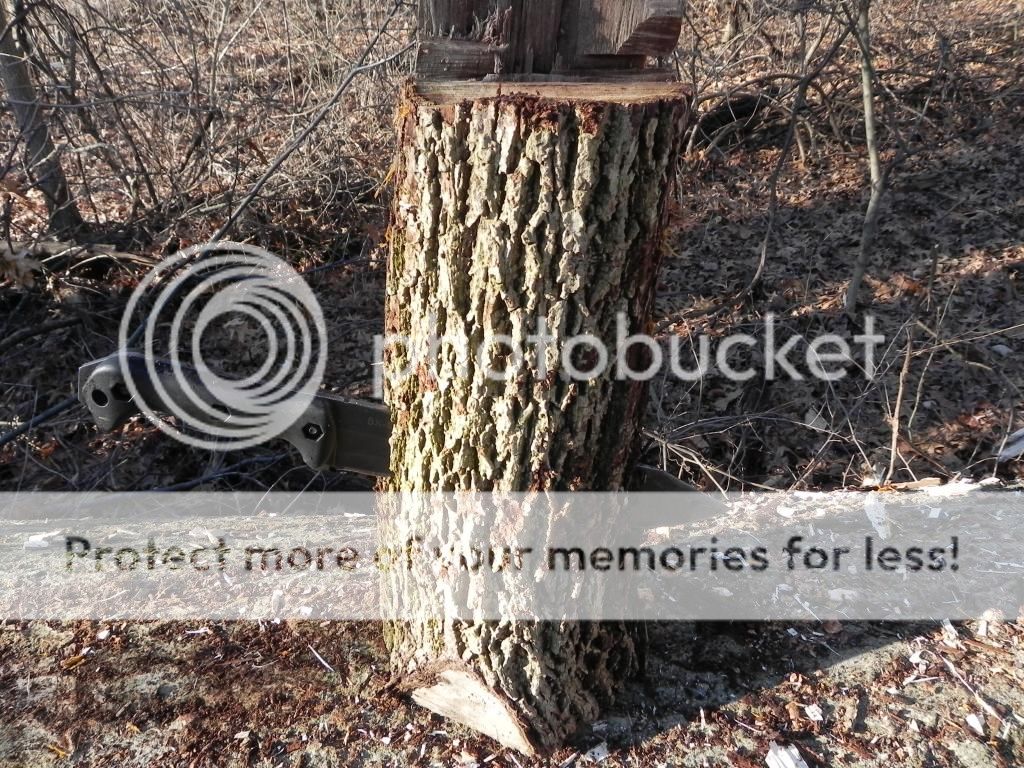 DSCN2598_zps74c18d96.jpg