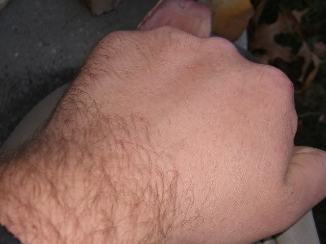 023-1.jpg