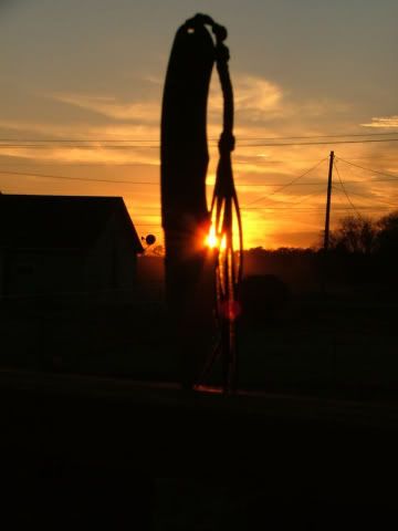 MyGoldenLightbulb.jpg