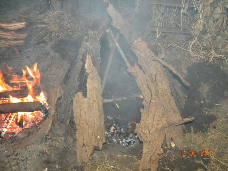 DSCN3146.jpg