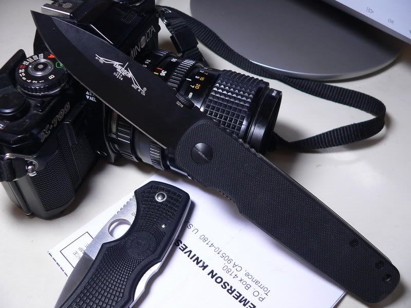 P1340524.jpg