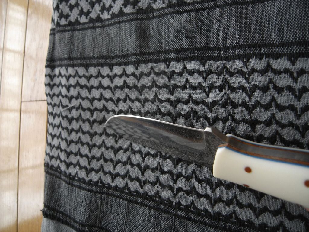 R0014858_zpsm6vzclnl.jpg