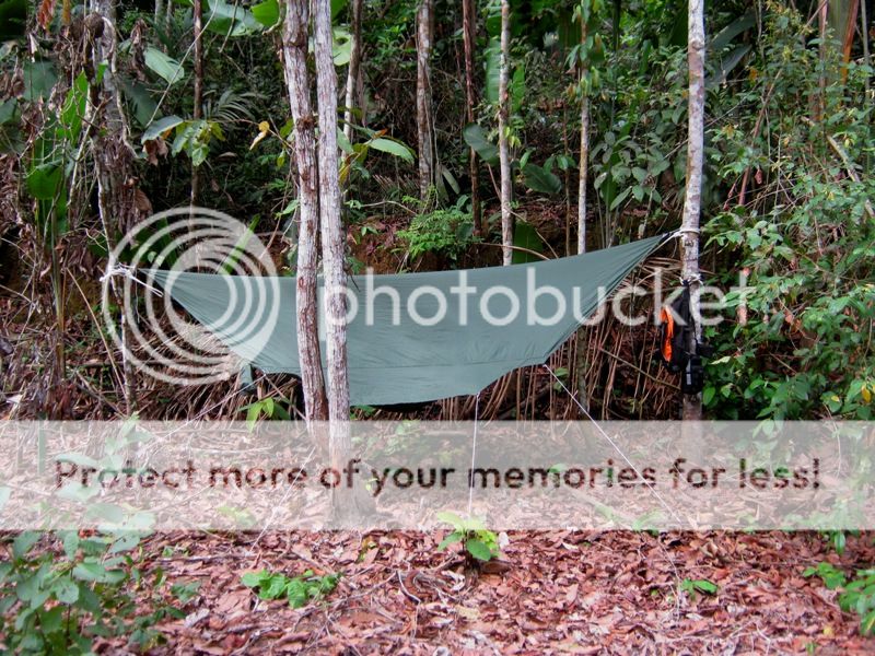 IMG_0932_zps943875bf.jpg