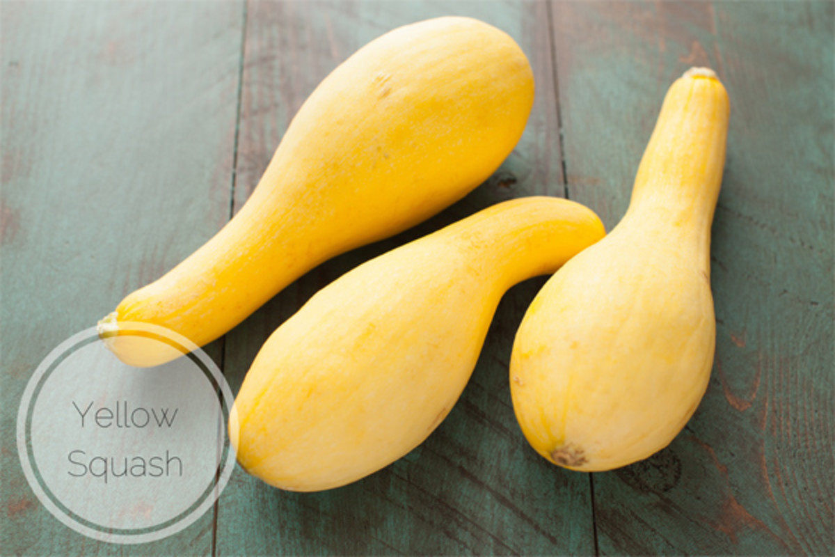 yellow-squash-the-little-kitchen.jpg