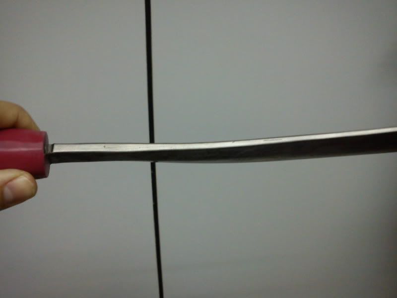 DSC00559-1.jpg