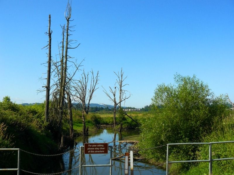 07-06-2012Reserveeagleclose580.jpg