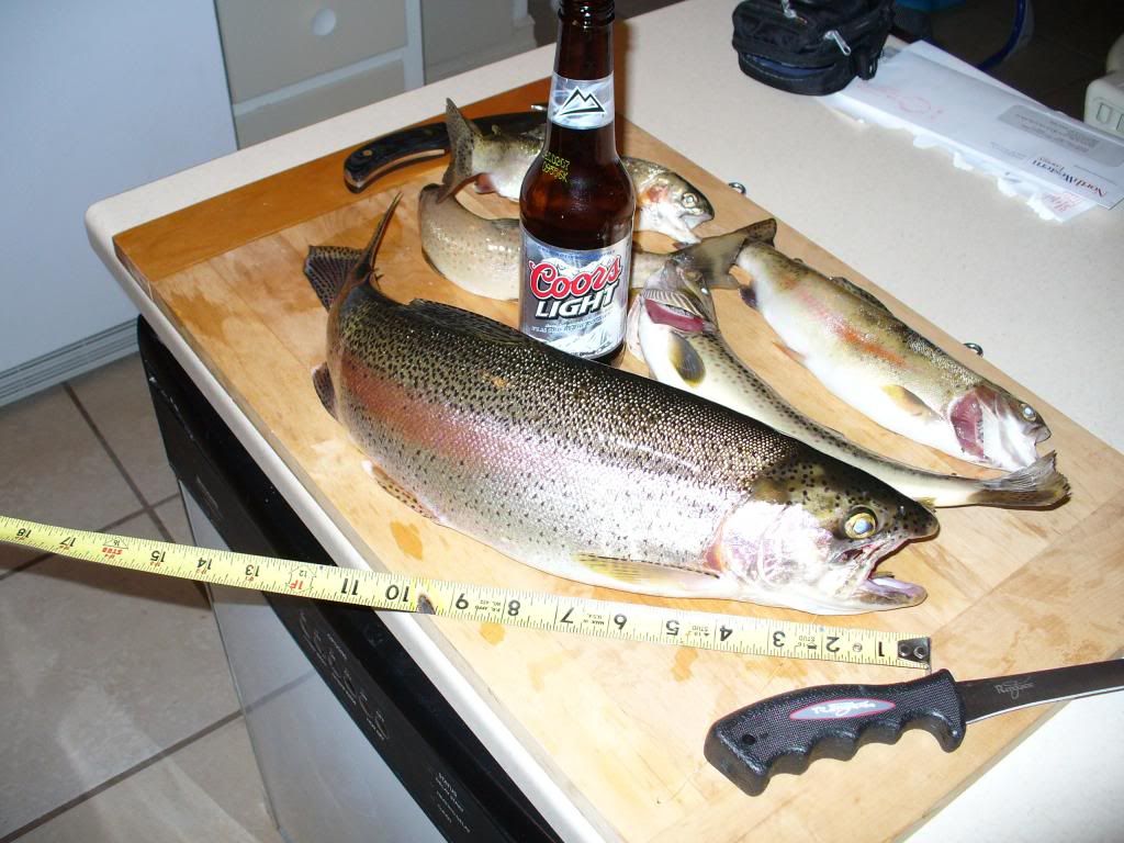 fishing07020_zpsf672cabf.jpg