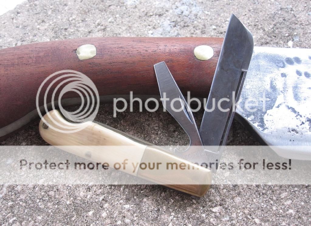 IMG_3703_zpsfxnwo1h4.jpg~original